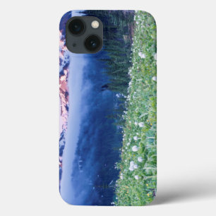 USA, Washington, Mt. Rainier National Park 4 iPhone 13 Case