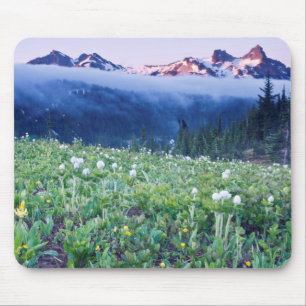USA, Washington, Mt. Rainier National Park 4 Mouse Pad