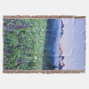 USA, Washington, Mt. Rainier National Park 4 Throw Blanket