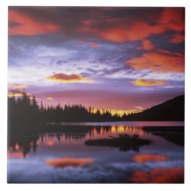 USA, Washington, Mt. Rainier National Park, Ceramic Tile (Front)