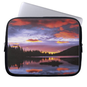 USA, Washington, Mt. Rainier National Park, Laptop Sleeve