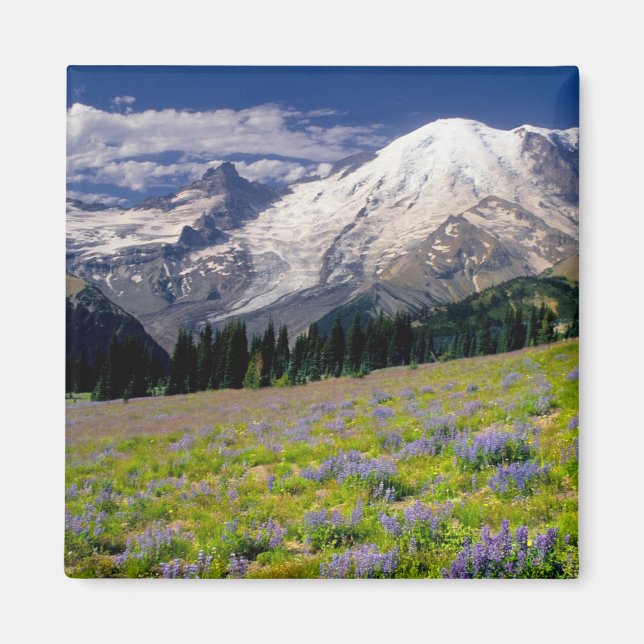 USA, Washington, Mt. Rainier National Park. Magnet (Front)