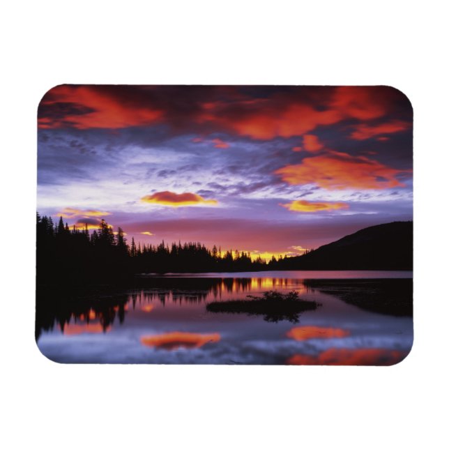 USA, Washington, Mt. Rainier National Park, Magnet (Horizontal)