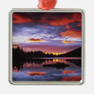 USA, Washington, Mt. Rainier National Park, Metal Tree Decoration