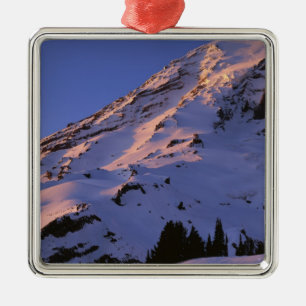 USA, Washington, Mt. Rainier National Park Metal Tree Decoration