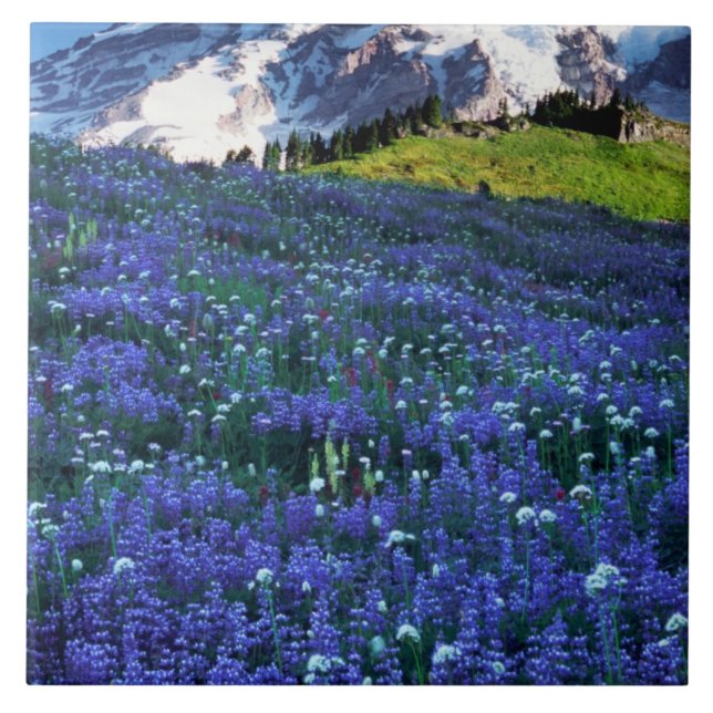 USA, Washington, Mt. Rainier National Park. Mt. Ceramic Tile (Front)