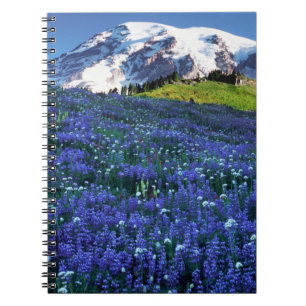 USA, Washington, Mt. Rainier National Park. Mt. Notebook