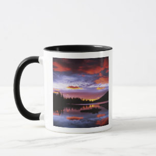 USA, Washington, Mt. Rainier National Park, Mug