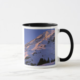 USA, Washington, Mt. Rainier National Park Mug