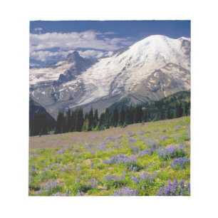 USA, Washington, Mt. Rainier National Park. Notepad