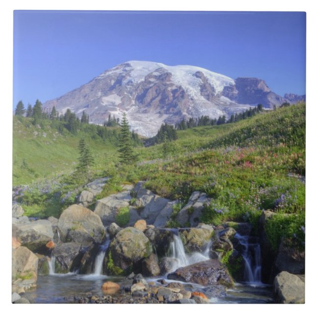 USA, Washington, Mt. Rainier NP, Mt. Rainier and 2 Ceramic Tile (Front)