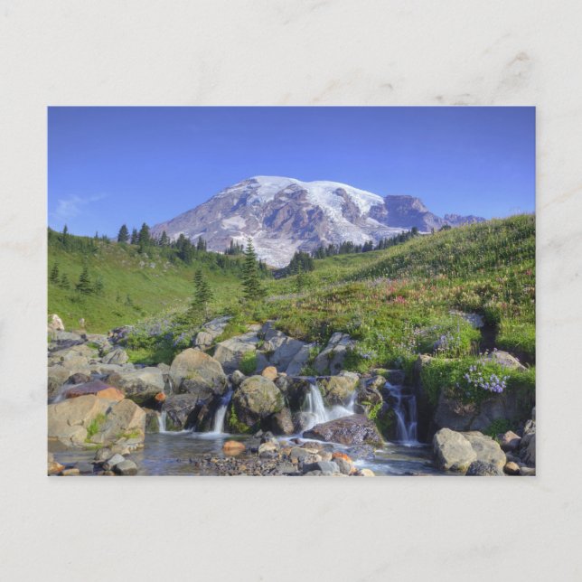 USA, Washington, Mt. Rainier NP, Mt. Rainier and 2 Postcard (Front)