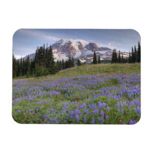 USA, Washington, Mt. Rainier NP, Mt. Rainier and Magnet