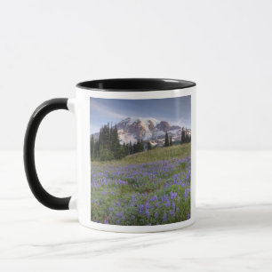 USA, Washington, Mt. Rainier NP, Mt. Rainier and Mug