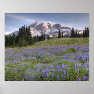 USA, Washington, Mt. Rainier NP, Mt. Rainier and Poster