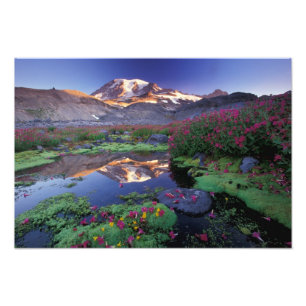USA, Washington, Mt. Rainier NP, sunrise, Photo Print