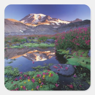 USA, Washington, Mt. Rainier NP, sunrise, Square Sticker
