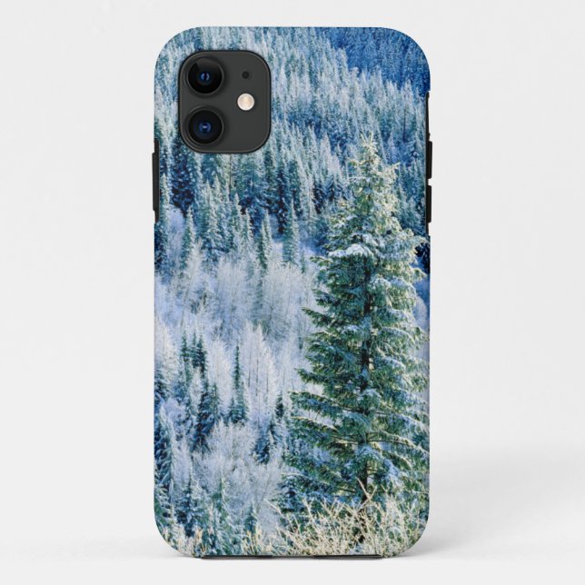 USA, Washington, Mt. Spokane State Park, Aspen 2 Case-Mate iPhone Case (Back)