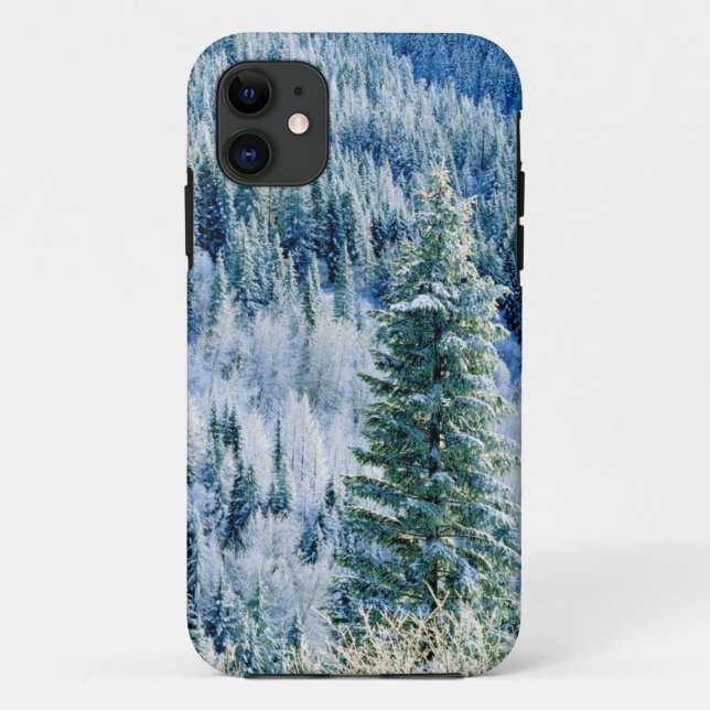 USA, Washington, Mt. Spokane State Park, Aspen Case-Mate iPhone Case (Back)