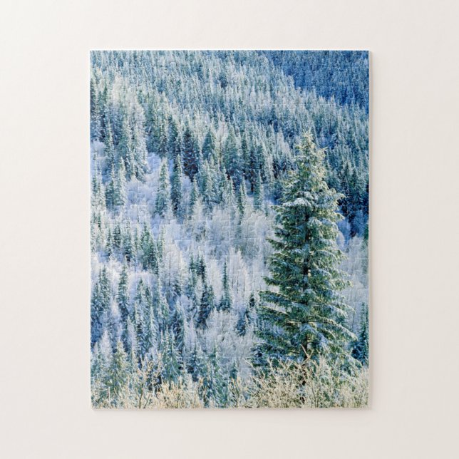 USA, Washington, Mt. Spokane State Park, Aspen Jigsaw Puzzle (Vertical)