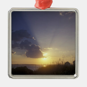 USA, Washington, near Port Townsend. Point Metal Tree Decoration