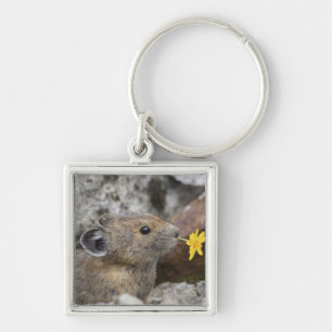 USA, Washington, North Cascades National Park, Key Ring