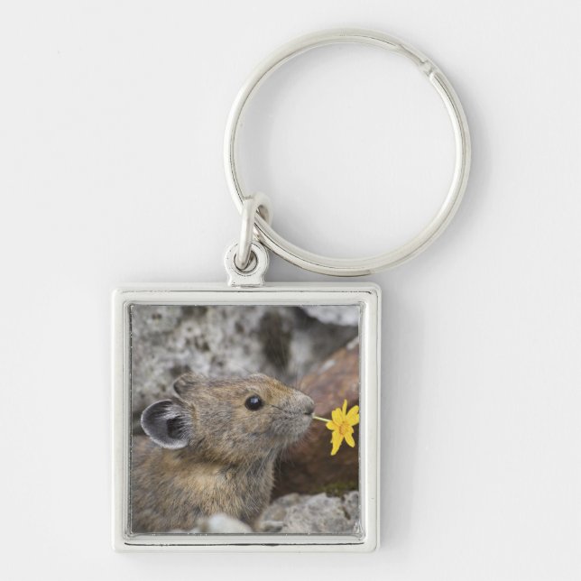 USA, Washington, North Cascades National Park, Key Ring (Front)