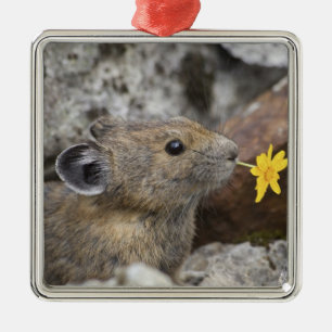 USA, Washington, North Cascades National Park, Metal Tree Decoration