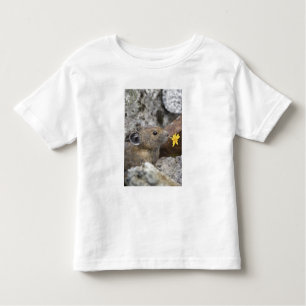 USA, Washington, North Cascades National Park, Toddler T-Shirt