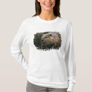 USA, Washington, Northwest Trek. Beaver T-Shirt