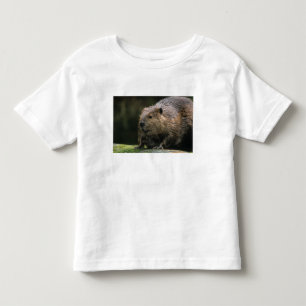 USA, Washington, Northwest Trek. Beaver Toddler T-Shirt