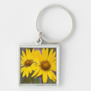 USA, Washington, Okanogan National Forest Key Ring