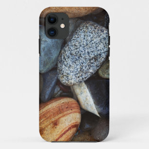 USA, Washington, Okanogan-Wenatchee National 2 iPhone 11 Case
