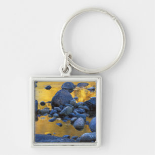 USA, Washington, Okanogan-Wenatchee National Key Ring
