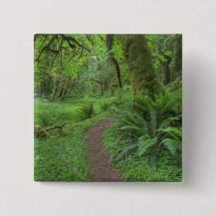 USA, Washington, Olympic National Park, 15 Cm Square Badge