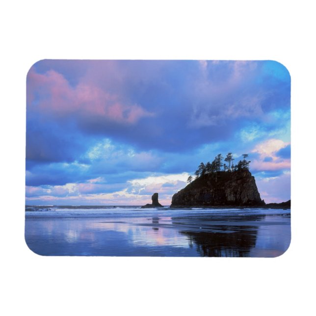 USA, Washington, Olympic National Park 2 Magnet (Horizontal)
