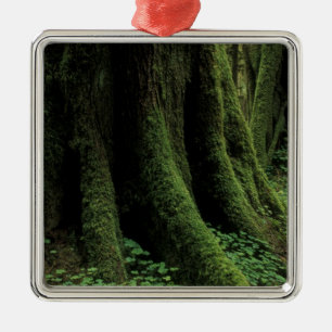 USA, Washington, Olympic National Park, 2 Metal Tree Decoration