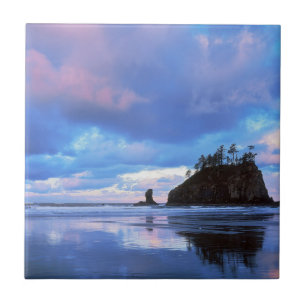 USA, Washington, Olympic National Park 2 Tile