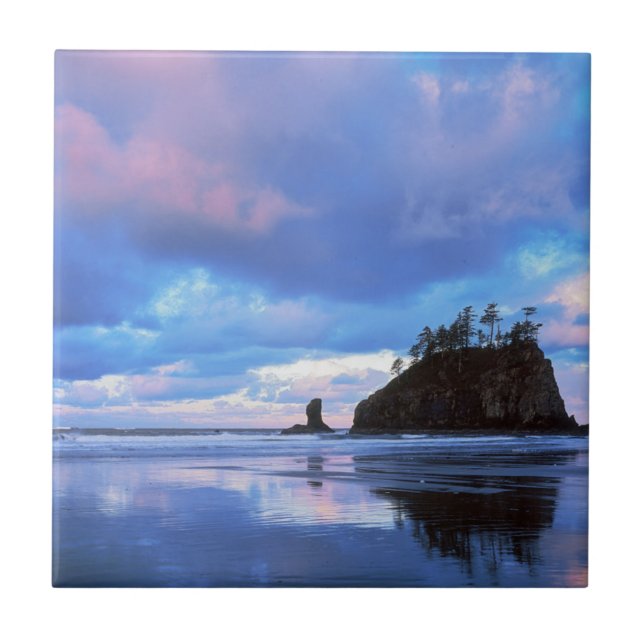 USA, Washington, Olympic National Park 2 Tile (Front)