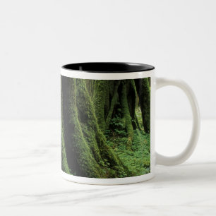 USA, Washington, Olympic National Park, 2 Two-Tone Coffee Mug