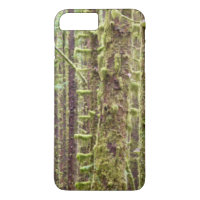 USA, Washington, Olympic National Park 3