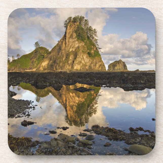 USA, Washington, Olympic National Park.  A Coaster (Front)