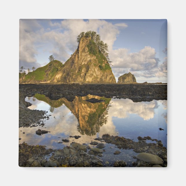 USA, Washington, Olympic National Park.  A Magnet (Front)