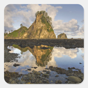USA, Washington, Olympic National Park. A Square Sticker