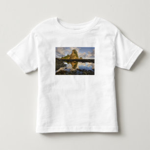 USA, Washington, Olympic National Park. A Toddler T-Shirt