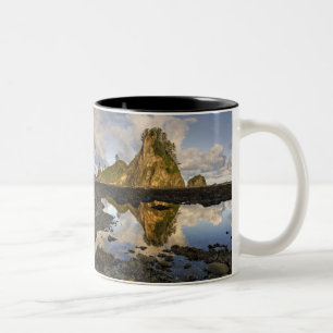 USA, Washington, Olympic National Park.  A Two-Tone Coffee Mug