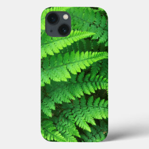 USA, Washington, Olympic National Park, Athyrium iPhone 13 Case