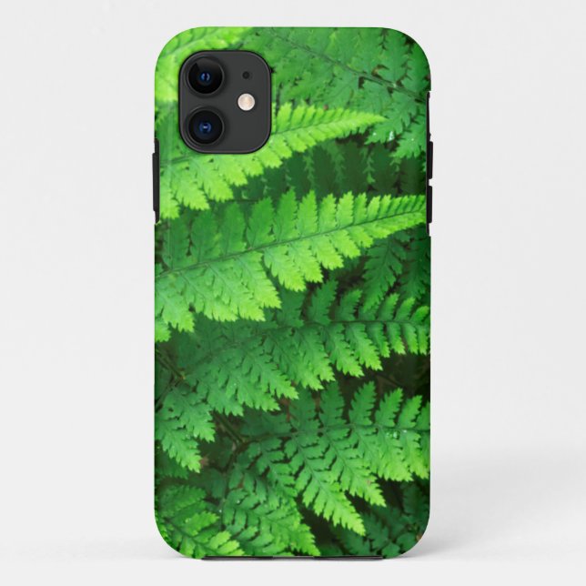 USA, Washington, Olympic National Park, Athyrium Case-Mate iPhone Case (Back)