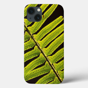 USA, Washington, Olympic National Park, Backlit iPhone 13 Case