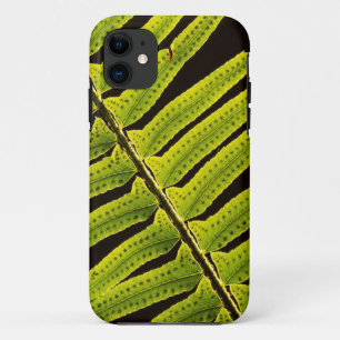 USA, Washington, Olympic National Park, Backlit iPhone 11 Case